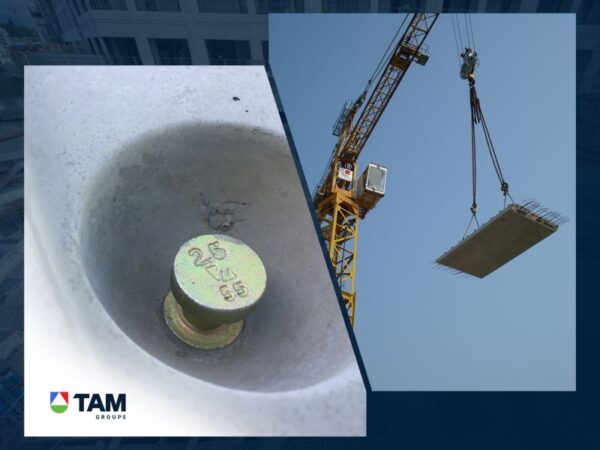 DSI-Arteon Lifting Systems image